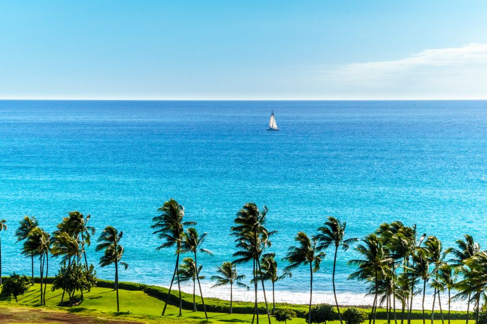 Oahu: Sunset Cruise of West Oahu with Drinks and Appetizers - Who This Cruise Suits Best