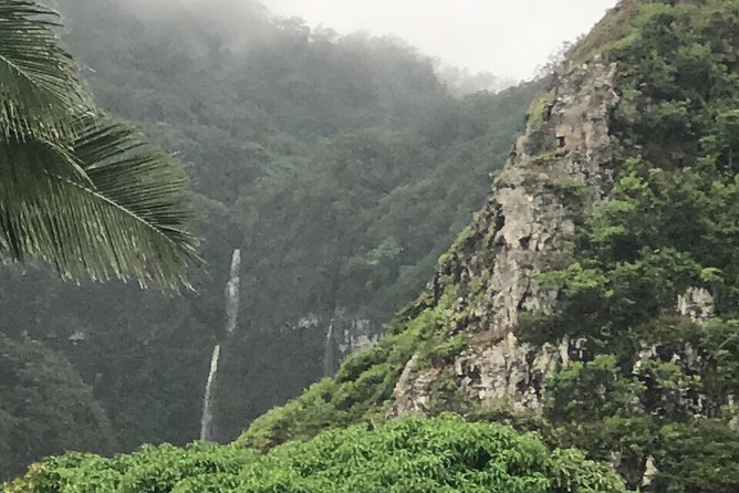 Oahu Ultimate Circle Island: 30 Spots, 10 Epic Stops - Tropical Farms macadamia stop: tasting that beats shopping