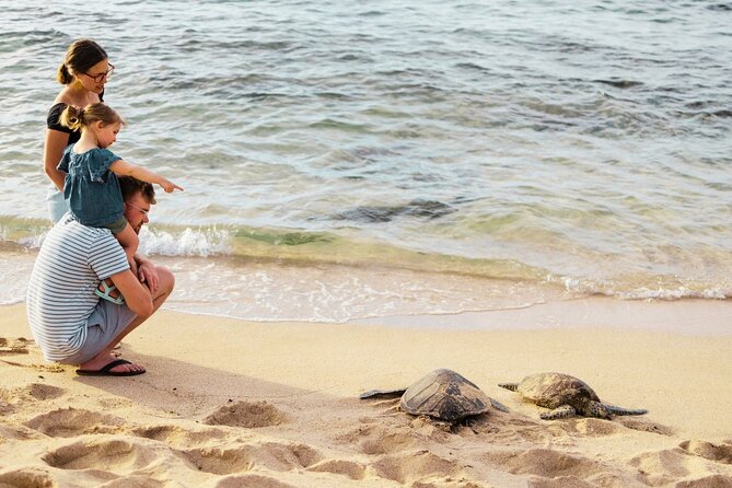 Oahu Ultimate Circle Island: 30 Spots, 10 Epic Stops - Eternity Beach, Chinamans Hat, and movie-famous coastline