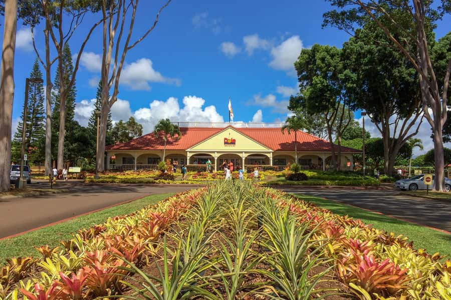 Oahu: Ultimate Pearl Harbor and Circle Island Tour - Key takeaways before you go