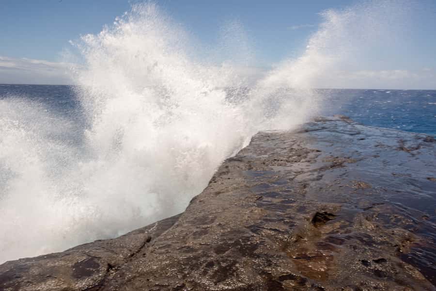 Oahu: Ultimate Pearl Harbor and Circle Island Tour - Dole Plantation and the macadamia stop: quick stops that keep your energy up