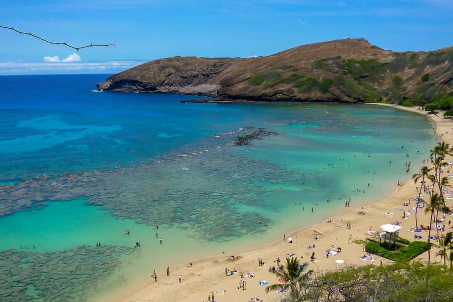 Oahu: Ultimate Pearl Harbor and Circle Island Tour - Nuʻuanu Pali Lookout and Halona Blowhole: the views that connect the island