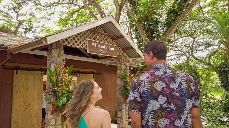 Oahu: Ultimate Pearl Harbor and Circle Island Tour - The guide factor: why Momi’s style matters