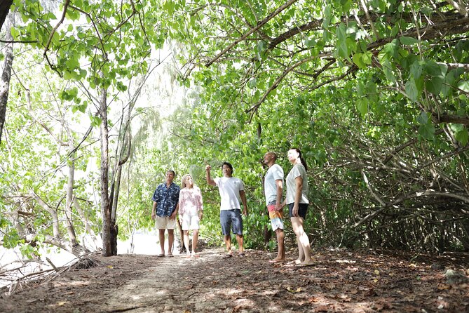 Oahu Uncovered: Full Island Tour with a Local Guide - Diamond Head overlook: the quick start that sets the tone