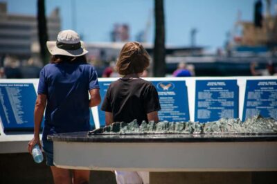 Oahu: USS Arizona Memorial and City Highlights Tour - The Documentary Film: Useful Context, Not a Full Story