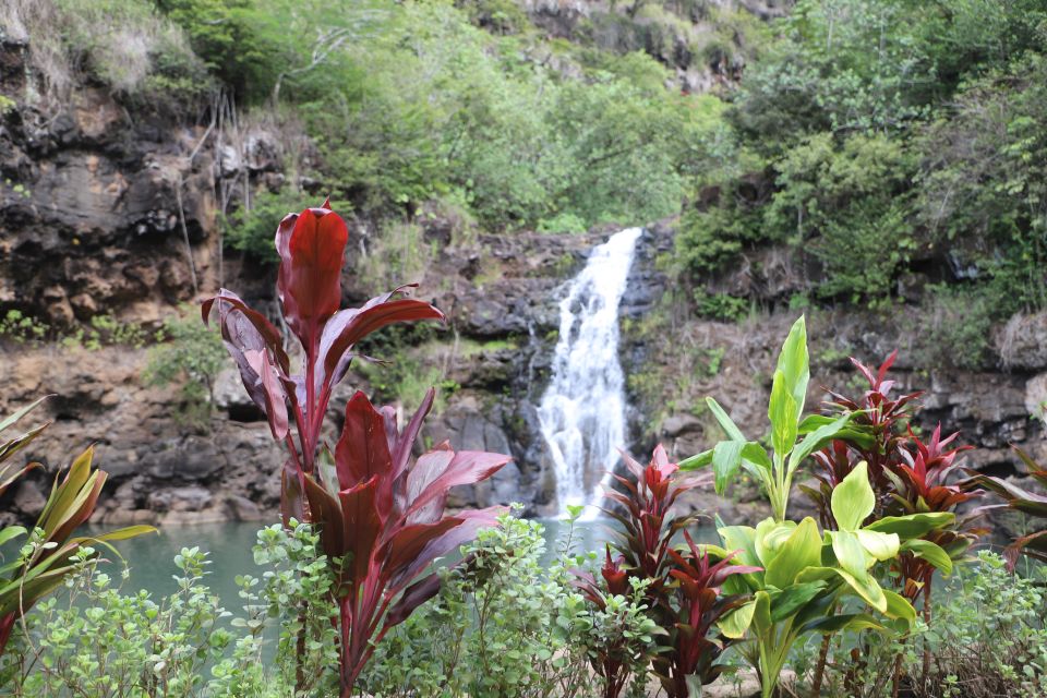 Oahu: Valley of Waimea Falls Swim & Hike with Lunch & Dole - Key highlights at a glance