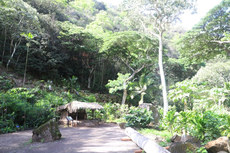 Oahu: Valley of Waimea Falls Swim & Hike with Lunch & Dole - Lunch at Waimea Valley: Picnic-Style Wraps and a Real Break