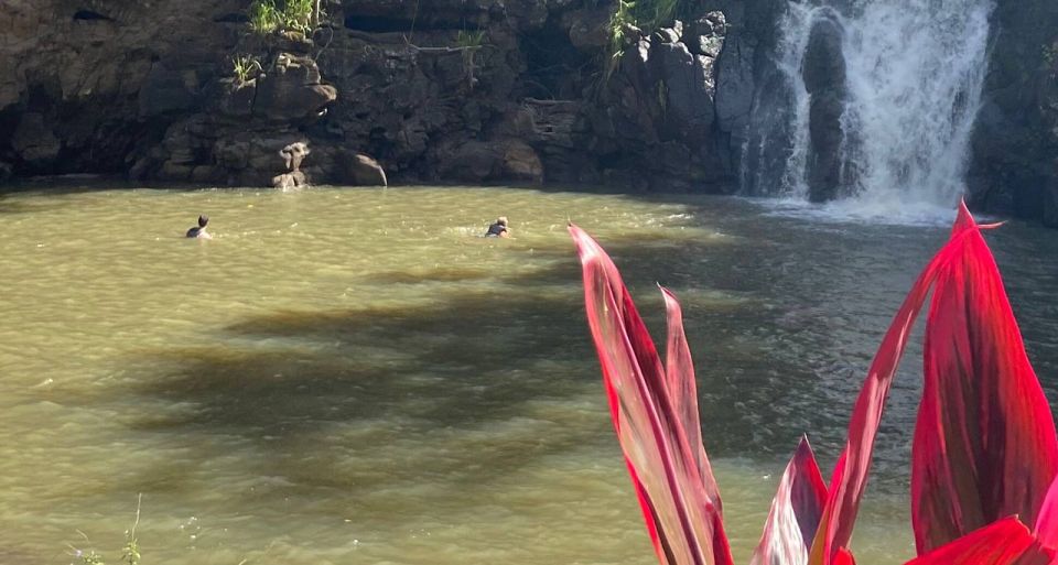 Oahu: Valley of Waimea Falls Swim & Hike with Lunch & Dole - Optional Extra Moments: Turtles, Early Arrival, and Waimea Bay Surf