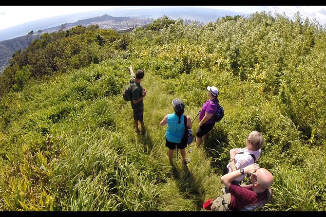 Oahu Volcanic Rainforest Hiking Adventure - Oahu’s Ko’olau rainforest is built for a guided hike