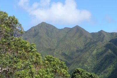 Oahu Volcanic Rainforest Hiking Adventure - What “volcanic rainforest hike” really means on the ground