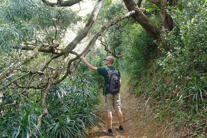 Oahu Volcanic Rainforest Hiking Adventure - Included gear: rain poncho and repellent are more than nice extras