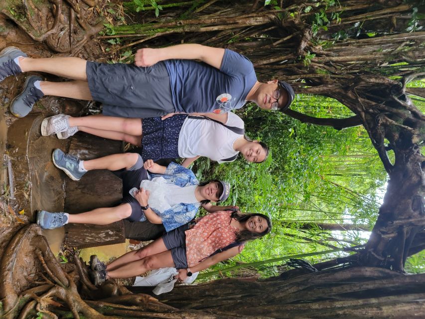 Oahu: Waikiki E-Bike Ride and Manoa Falls Hike - Should you book the Waikiki e-bike and Manoa Falls hike?