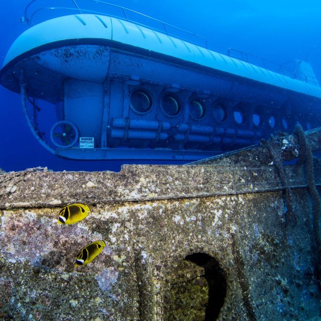 Oahu: Waikiki Submarine Tour - Who should book this Waikiki submarine tour