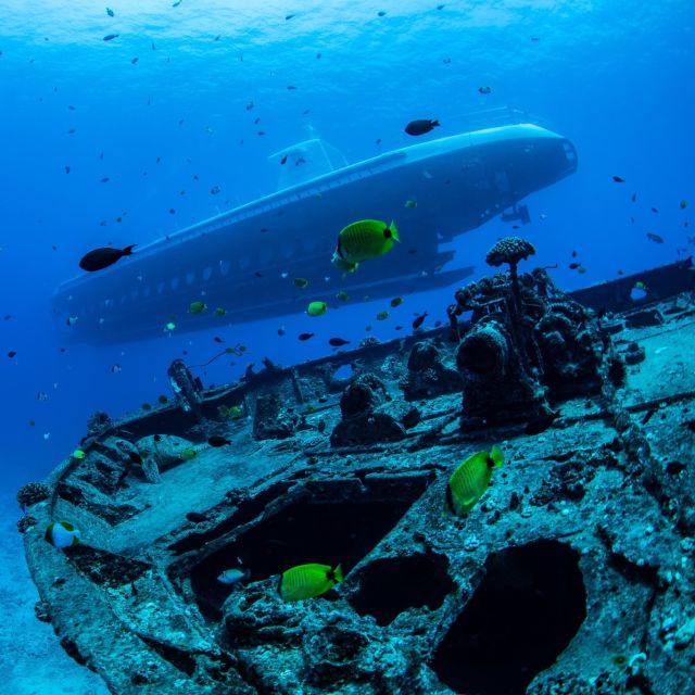 Oahu: Waikiki Submarine Tour - Inside the cabin: seating, windows, and photo reality