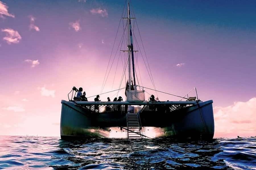 Oahu: Waikiki Sunset Catamaran Sail and Swim - Key moments that make this tour worth your evening
