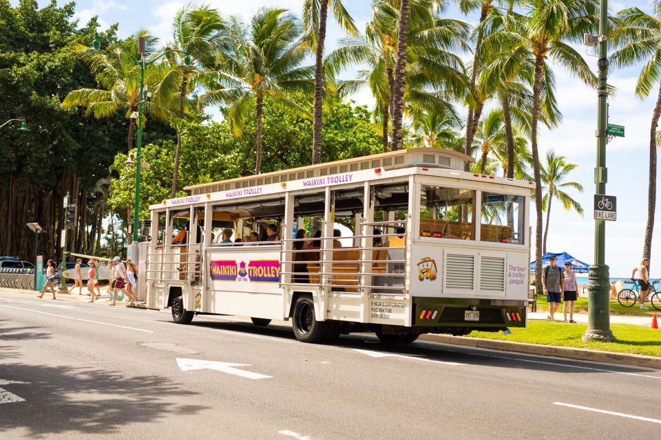Oahu: Waikiki Trolley Hop-on Hop-off All-Line Pass - Pink Line Ala Moana Shopping Shuttles and Waikiki Stops
