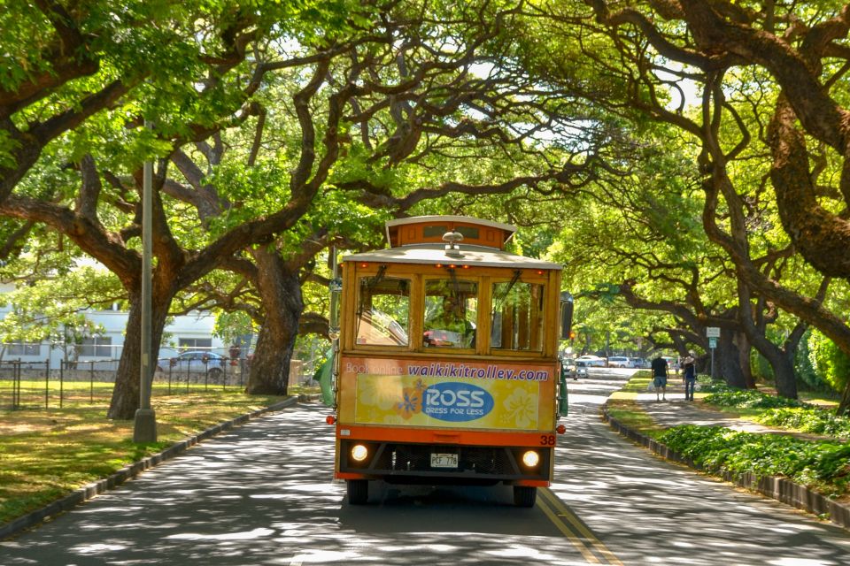 Oahu: Waikiki Trolley Hop-on Hop-off All-Line Pass - Practical Stuff: Open-Air Comfort, Luggage Limits, and Seat Expectations