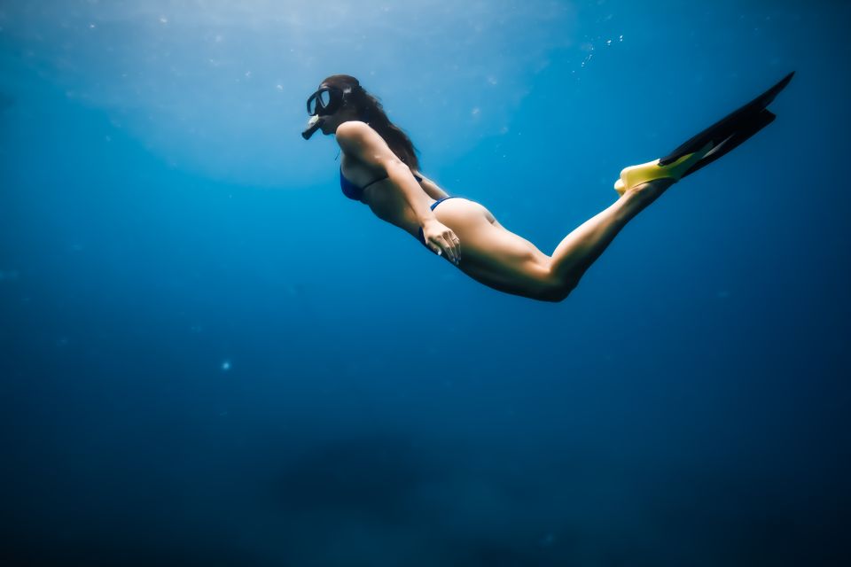 Oahu: Waikiki Turtle Snorkeling Adventure - Sea turtles, reef fish, dolphins, and whales: what you should hope to see