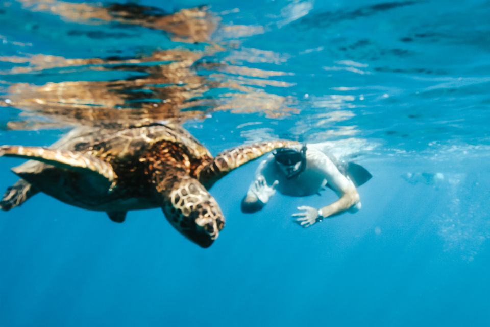 Oahu: Waikiki Turtle Snorkeling Adventure - The guide team: friendly instruction and real energy on the water