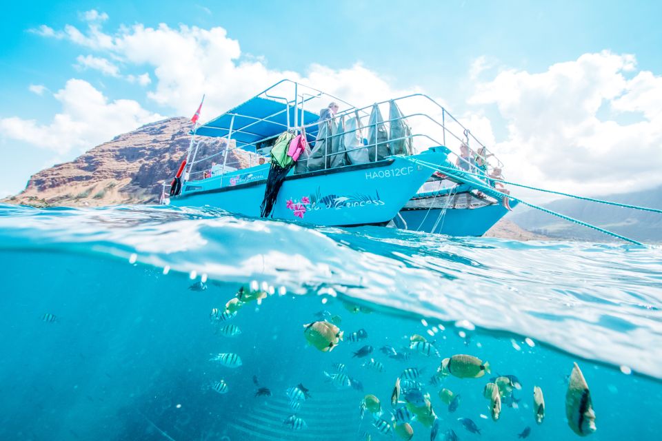 Oahu: Waikiki Turtle Snorkeling Adventure - Price and extras: is $125 per person a good value
