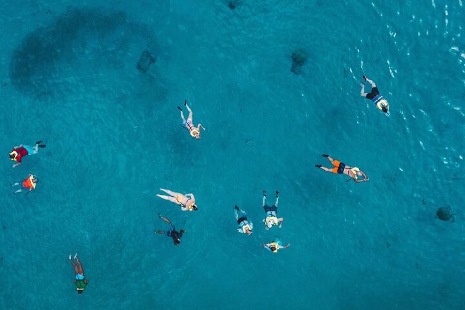Oahu: Waikiki Turtle Snorkeling Adventure Cruise - How the Pink-Sailed Catamaran Cruise Works in Real Life