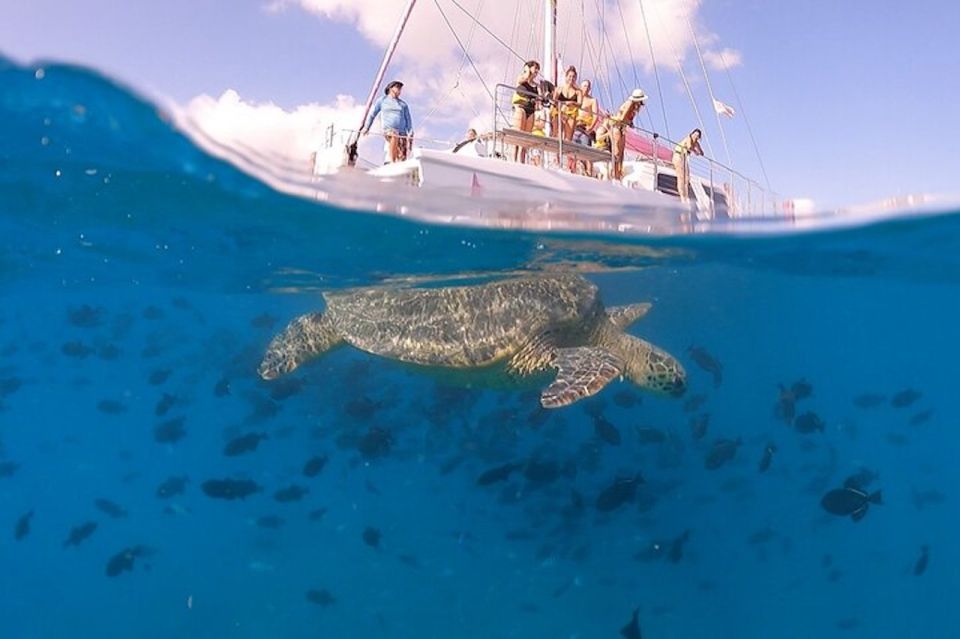 Oahu: Waikiki Turtle Snorkeling Adventure Cruise - Snorkeling Instructions: Gear Up and Go at the Right Pace
