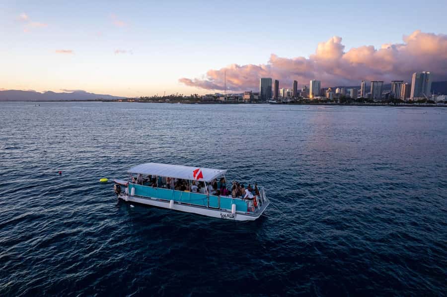 Oahu: Waikiki Whale Watch Boat Tour - How this 2-hour catamaran whale watch earns its $94