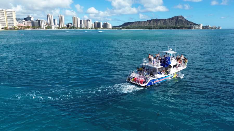Oahu: Whale Watching Cruise Whales Guaranteed - From Pier B to your first whale-check