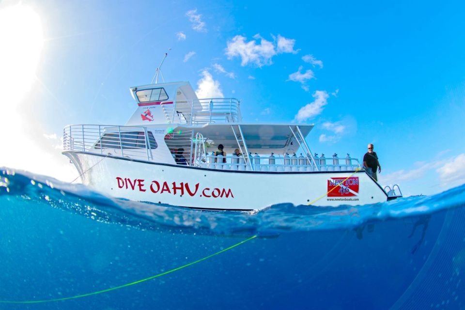 Oahu: Wreck & Reef Scuba Dive for Certified Divers - Wreck options on Oahu’s south shore: Sea Tiger vs. YO-257 and San Pedro