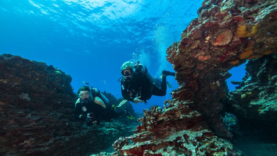 Oahu: Wreck & Reef Scuba Dive for Certified Divers - What you’ll see underwater: wreck structure plus reef life