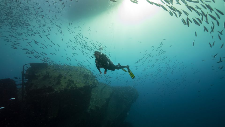 Oahu: Wreck & Reef Scuba Dive for Certified Divers - Gear, wetsuits, and snacks: the value that keeps it stress-free