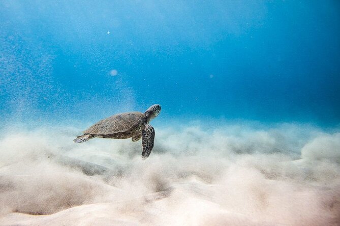 Oahu's Cheapest Circle Island Tour - Kaiwi Shoreline, Rabbit Island, and the Movie-Set Feel
