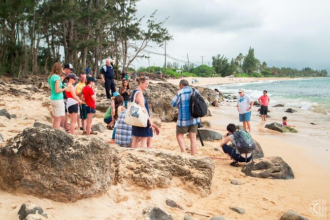 Oahu's Cheapest Circle Island Tour - East Oahu Highlights: Diamond Head and Halona Blowhole Views