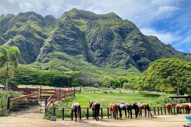 Oahu's Fun and Foodie Tour Groups of 5 or more Only! - North Shore Time: Matsumoto Shave Ice in Haleiwa