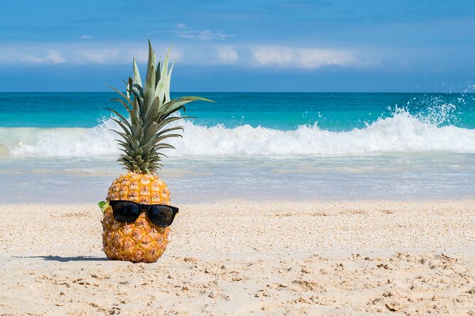 Oahu's Ultimate Grand Circle Island Tour with Snorkeling and More - A Circle-Island Day That Feels Like a Shortcut to Oahu