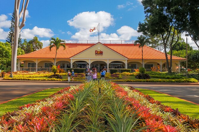 Oahu's Ultimate Grand Circle Island Tour with Snorkeling and More - Diamond Head to Halona Blowhole: Ocean Views and Lava-Time Power