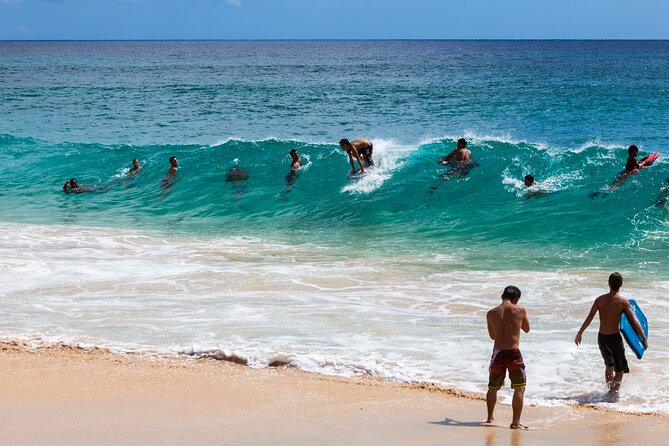 Oahu's Ultimate Grand Circle Island Tour with Snorkeling and More - Puena Point Snorkeling at Haleiwa: Sea Turtles, Murk Risk, and Timing