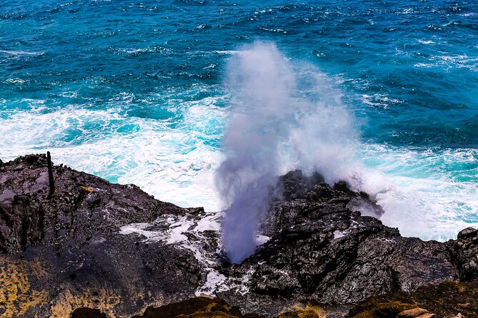 Oahu's Ultimate Grand Circle Island Tour with Snorkeling and More - Macadamias, Dole Pineapple King, and Green World Coffee