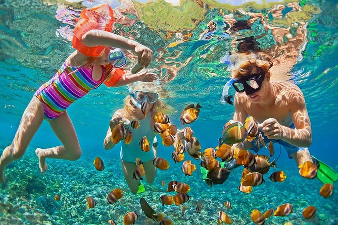 Oahu's Ultimate Tour: Dole, Turtle Snorkel, Pali Lookout & More - Diamond Head Lookout: The Sunrise View Without the Hiking Plan