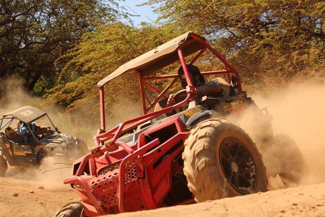 Off-Road ATV Adventure with Roundtrip Shuttle from Waikiki - Getting From Waikiki: Shuttle Pickup, Start Time, and a Smooth Check-In