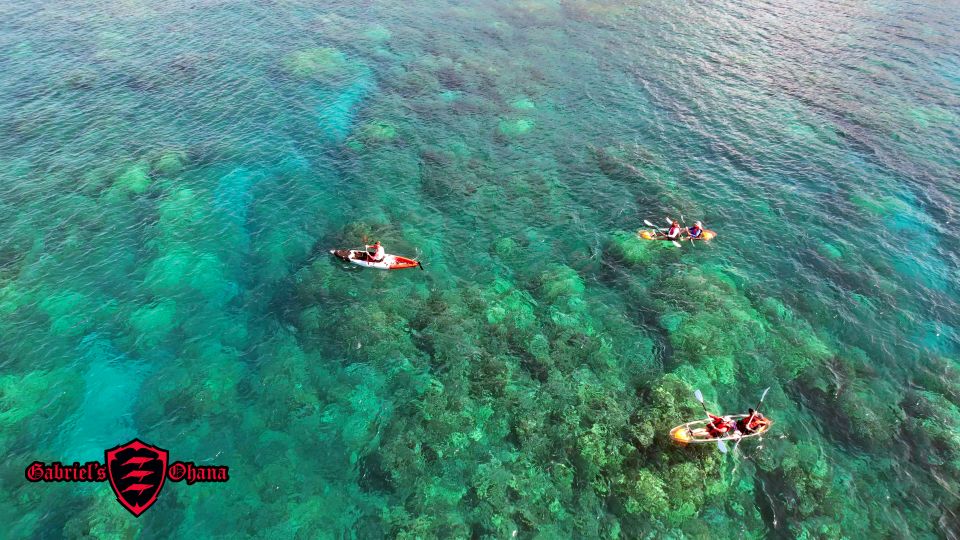 Olowalu: Guided Clear Kayak Tour - Unlimited - Snacks and Sustainability: Pineapple, Granola, and a Reusable Bottle