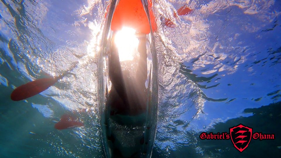 Olowalu: Guided Clear Kayak Tour - Unlimited - Safety on the Water: Drones, CPR Guidance, and Real-World Tips