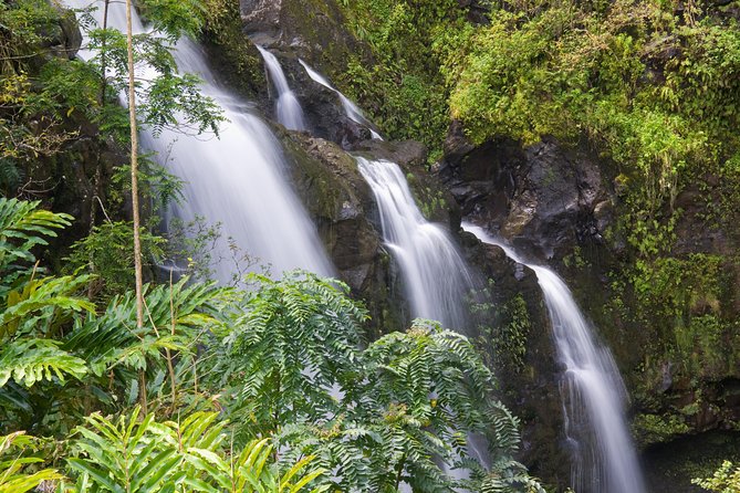 One Day Heavenly Hana Tour: Island Hopping from Oahu to Maui - Paia and Ho‘okipa Lookout: Food Trucks, Sea Turtles, and Cliffside Views