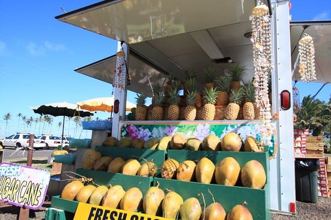 One-Day Tour Hawaii Movie Tour: Island Hopping from Oahu to Kauai - Timing, Comfort, and Who This Tour Fits Best