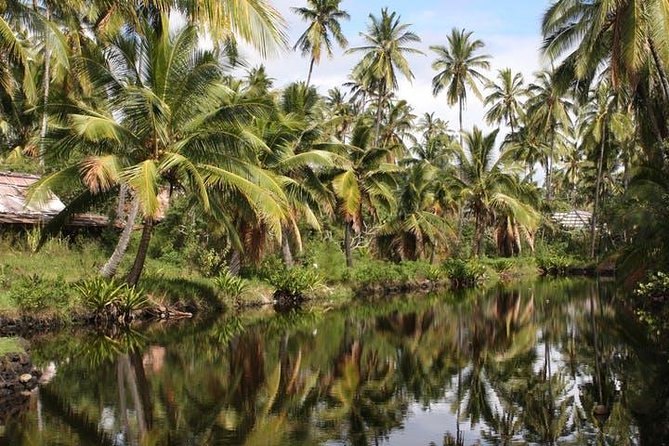 One-Day Tour Hawaii Movie Tour: Island Hopping from Oahu to Kauai - The 4:30 am Start: How the Morning Logistics Play Out