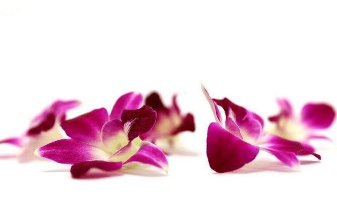 Orchid Airport Lei Greeting (Maui, Kahului Airport, OGG) - A Maui Welcome That Fits Real Airport Life