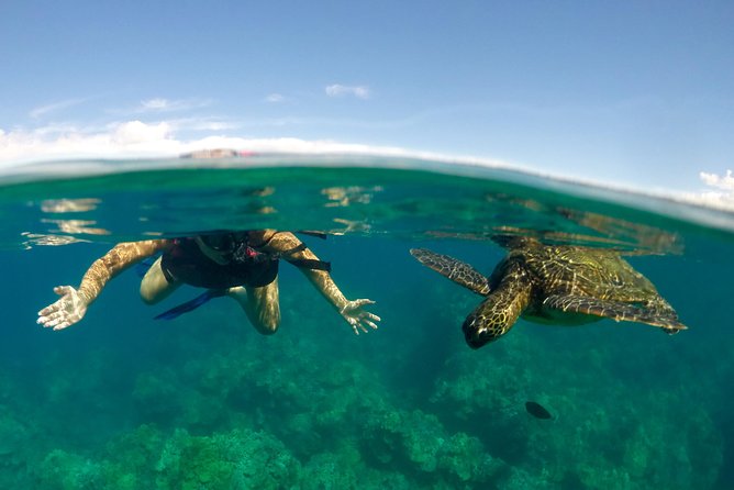Paddle, Snorkel and Learn to Surf: All in a Day on Maui - Key things I’d bet on