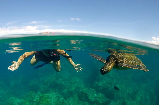 Paddle, Snorkel and Learn to Surf: All in a Day on Maui - Snorkel Time: Making the Most of 45 Minutes