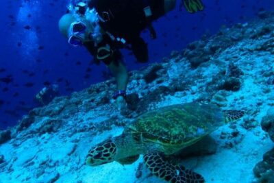 PADI Scuba Lesson and Shore Dive in Maui - The flow at Kahekili: meet, paperwork, then a real briefing