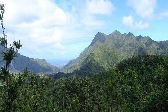 Pearl Harbor and Mini Circle Island Tour from Kauai - A 9–10 Hour Loop: Pearl Harbor to Oahu’s North Shore
